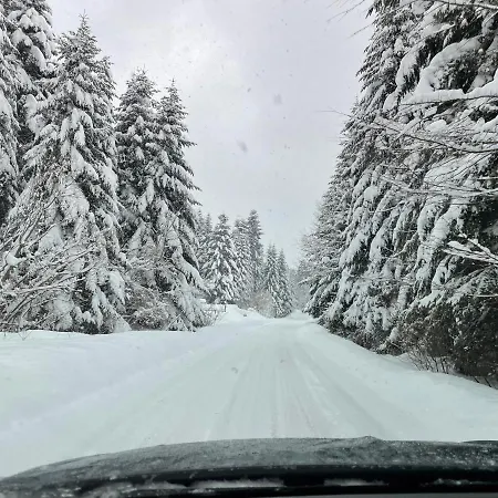 Villa Borowkowy Jar Ropienka Esterno foto