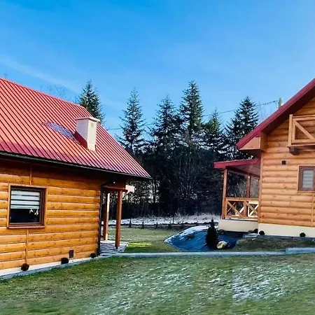Villa Borowkowy Jar Ropienka Esterno foto